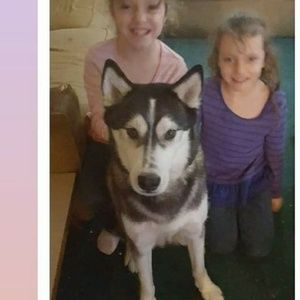 Meet your Posher, Gabby